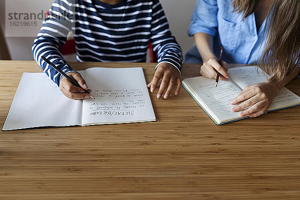 Nachhilfelehrerin mit Junge  der zu Hause am Tisch lernt