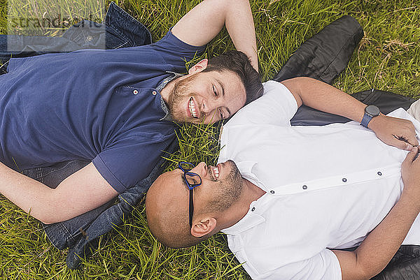 Lächelndes homosexuelles Paar  das sich gegenseitig ansieht  während es auf einer Wiese im Park liegt