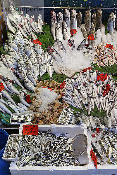 Türkei  Istanbul  Fische auf dem Markt in Kadiköy
