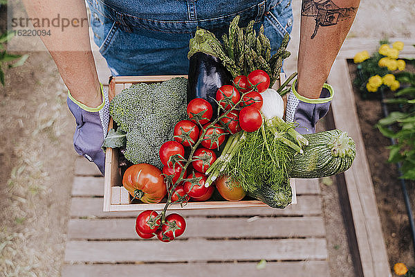 Nahaufnahme einer Frau mit verschiedenen Gemüsesorten in einer Holzkiste im Gemeinschaftsgarten