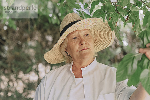 Nahaufnahme einer älteren Frau mit Hut  die eine Pflanze im Garten betrachtet