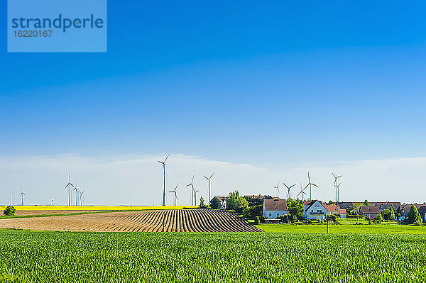 Deutschland  Sachsen  Windkraftanlagen im Rapsfeld