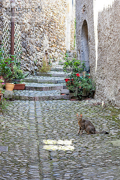 Allee des Dorfes Saint Lizier im Departement Ariege  Pyrenäen  Okzitanien  Frankreich