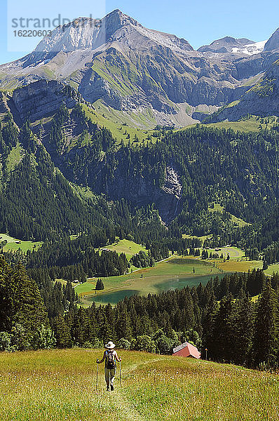 Schweiz  Kanton Bern  Region Hochsimmental  Weiden an der Wispile  Wanderungen ins Lauenental und zum See