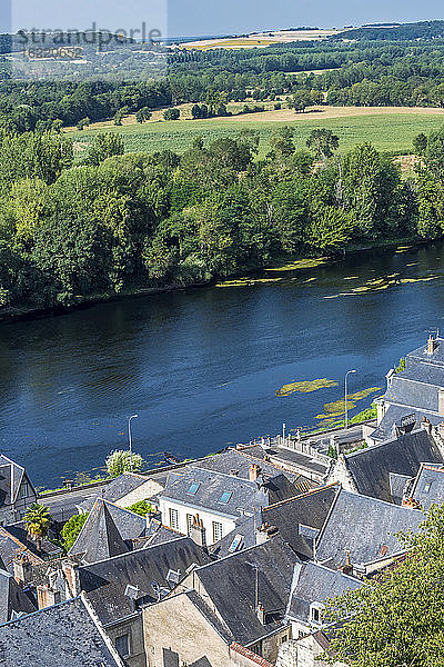 Frankreich  Zentral-Val de Loire  Indre-et-Loire  Blick auf die Vienne und die Dächer von der königlichen Festung von Chinon