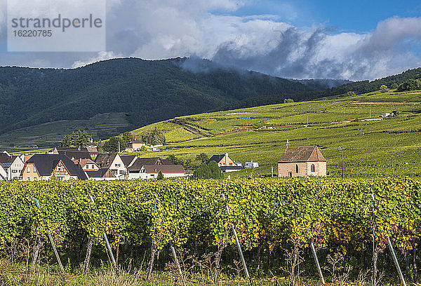 Frankreich  Elsass  Weinstraße  Weinberg und Dorf Sigolsheim