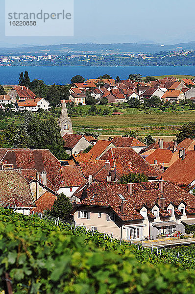 Schweiz  Waadt  Region Bonvillars am Neuenburgersee  Blick auf Häuser und auf den See