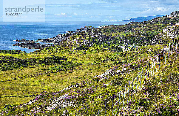 Europa  Großbritannien  Schottland  Hebriden  südöstlich der Isle of Skye  Küstenmoor am Point of Sleat