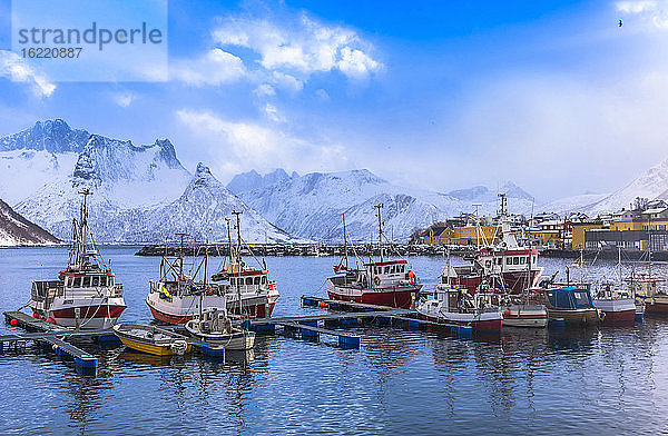 Norwegen  Bezirk Tromso  Insel Senja  Fjordgard  Kabeljauhafen Husoy