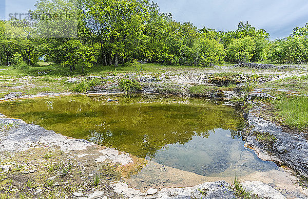 Frankreich  Lot  Regionaler Naturpark Causses von Quercy  Sensibler Naturraum von Brauhnie  See von Saint Namphaise  der in den Kalkstein für die Mutterschafe gebohrt wurde