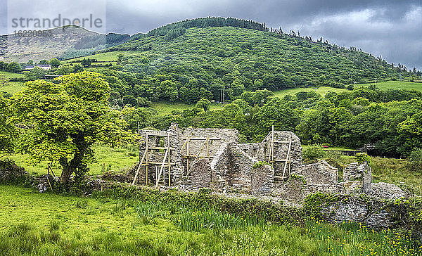 Republik Irland  Grafschaft Kerry  Halbinsel Iveragh  Ring of Kerry  Cahersiveen (Geburtsstadt von Daniel O'Connell)  Daniel O'Connells Haus als Ruine