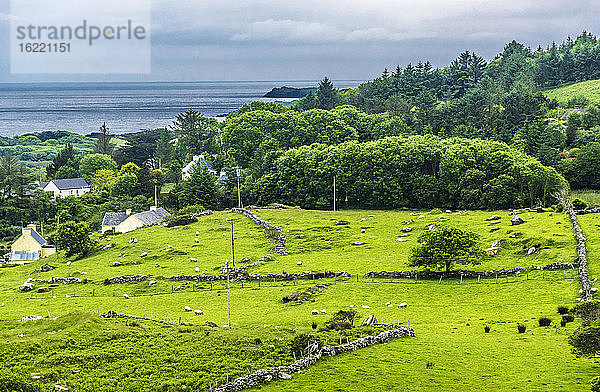 Republik Irland  Grafschaft Kerry  Iveragh Paninsula  Ring of Kerry   Landleben am Meer