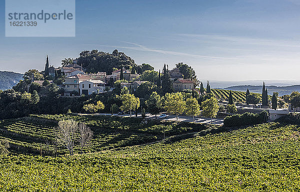 Frankreich  Provence  Vaucluse  Dentelles de Montmirail  Suzette