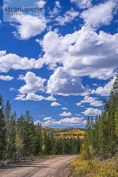 USA  Wyoming  Wanderweg in einer Herbstlandschaft  Espen und Kiefern