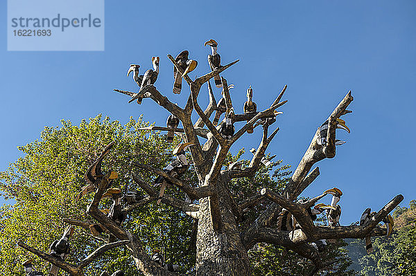 Totempfahl mit vielen holzgeschnitzten Nashornvögeln  Kisama  Nagaland  Indien