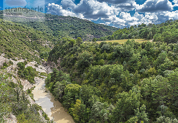 Spanien  Autonome Gemeinschaft Aragonien  Naturpark Sierra y CaÃ±ones de Guara  Schlucht des Flusses Alcanadre bei Bierge  Aleppo-Kiefern und grÃ?ne Eichen