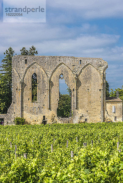 Frankreich  Gironde  Saint Emilion (UNESCO-Weltkulturerbe)  die Grandes Murailles (Überreste eines Dominikanerklosters aus dem 12. Jahrhundert) und der Weinberg (Grand Cru der AOC St Emilion)