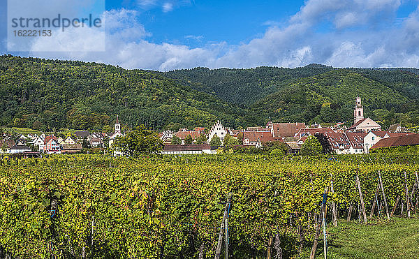 Frankreich  Elsass  Weinstraße  Weinberg und Dorf von Riquewihr (Plus Beau Village De France)
