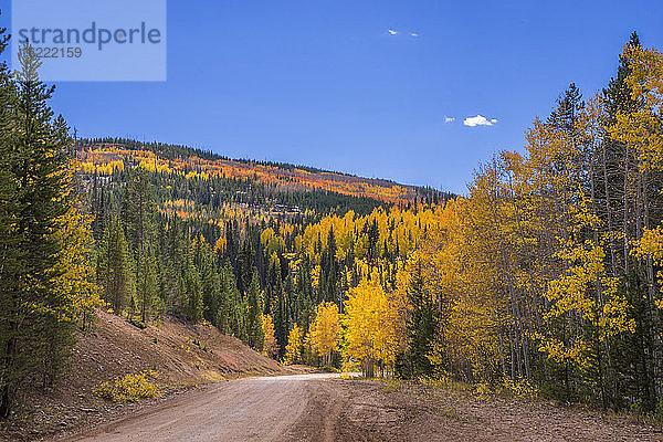 USA  Wyoming  Wanderweg in einer Herbstlandschaft  Espen und Kiefern