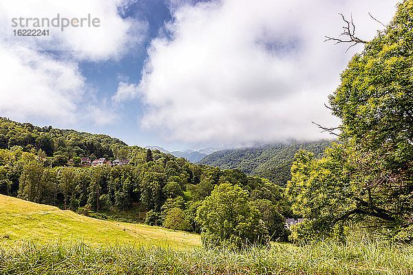 Blick auf die Felder im Departement Ariege  in den Pyrenäen  Region Okzitanien  Frankreich