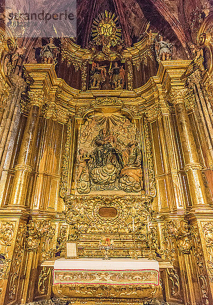 Spanien  Katalonien  Girona  Kathedrale der Heiligen Maria  Kapelle der Heiligen Anna  Altarbild der Heiligen Anna