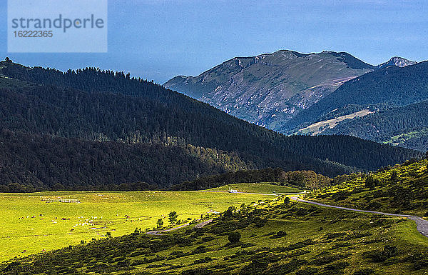 Frankreich  Hautes-Pyrenees  Col de la Hourquette d'Ancizan (1564 m)  zwischen den Tälern von Aure und Campan  Weidegebiet bis Payolle