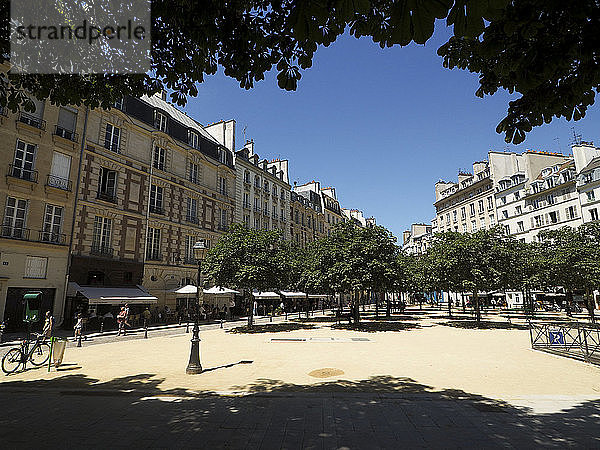 Der Dauphine-Platz bietet Schatten unter den Bäumen oder auf der Terrasse eines Restaurants  Paris  Frankreich