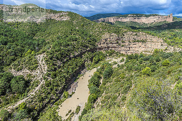 Spanien  Autonome Gemeinschaft Aragonien  Naturpark Sierra y CaÃ±ones de Guara  Schlucht des Flusses Alcanadre bei Bierge  Aleppo-Kiefern und grÃ?ne Eichen