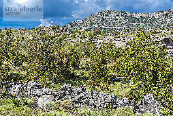 Spanien  Autonome Gemeinschaft Aragonien  Naturpark Sierra y CaÃ±ones de Guara  Landschaft und Hochebene der Mascun-Schlucht  GebÃ?ude aus Stechginster und Buchsbaum