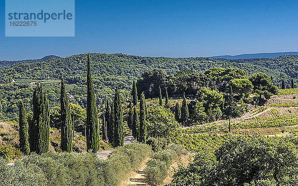 Frankreich  Provence  Vaucluse  Dentelles de Montmirail  ländliche Landschaft