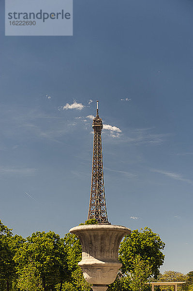 Eiffelturm wie aus einer Vase im Freien aufsteigend  Paris  Frankreich