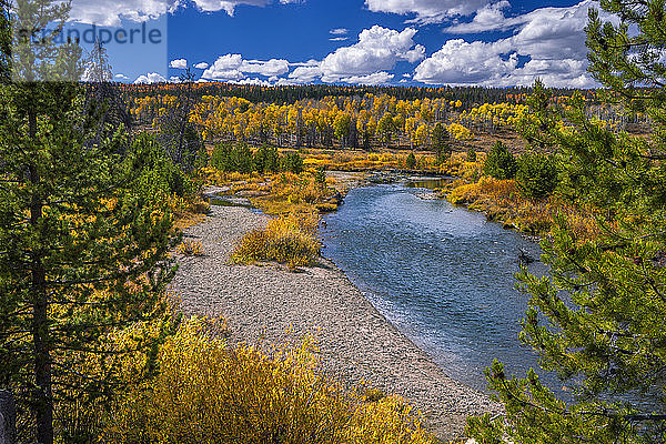 USA  Wyoming  Fluss in einer Herbstlandschaft  Espen und Kiefern