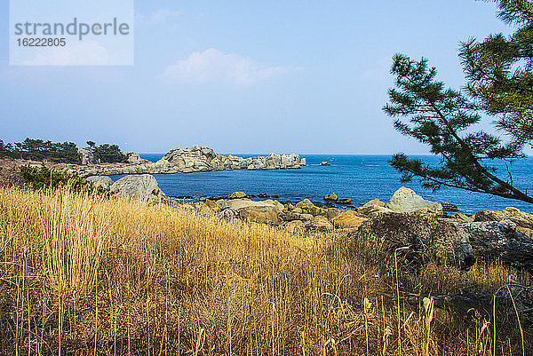 Küste von Tanesashi. Entlang des Michinoku Coastal Trail  Tohoku  Honshu  Japan.