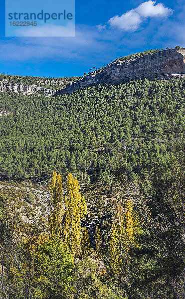 Spanien  Autonome Gemeinschaft Kastilien-La Mancha  Provinz Cuenca  Nationalpark Serrania de Cuenca