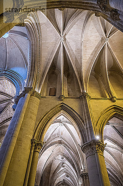 Spanien  Autonome Gemeinschaft Kastilien-La Mancha  Cuenca  Kirchenschiff der Kathedrale Santa Maria und Santa Julian (12.-18. Jahrhundert) (UNESCO-Welterbe) (Schönstes Dorf Spaniens)