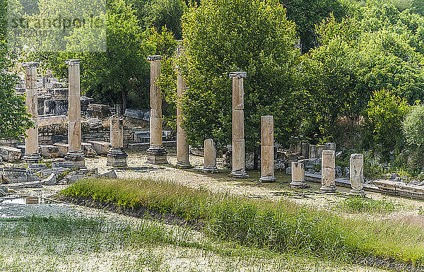 Türkei  Aphrodisias  archäologische römische Stätte (1.-5. Jahrhundert)  Säulen des Tiberius-Portikus mit ionischen Kapitellen (UNESCO-Welterbe)