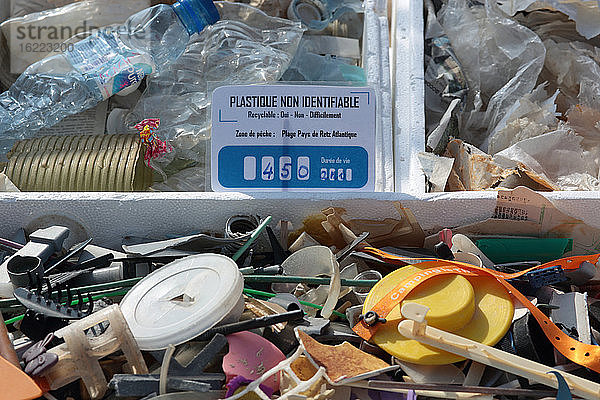 Frankreich  Saint Michel-Chef-Chef  44  Müllsammlung am Strand von Tharon  organisiert von den Vereinen Hirondelle (Pornic) und Conscience (St Michel-Chef-Chef) am 25.08.2019