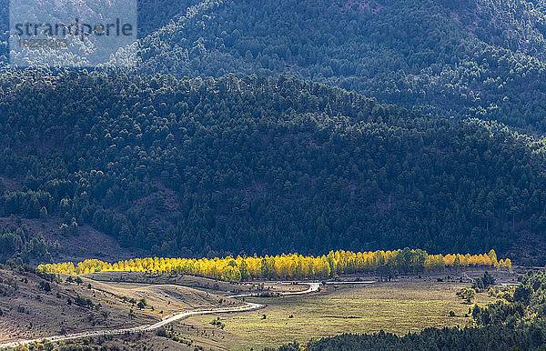 Spanien  Autonome Gemeinschaft Kastilien-La Mancha  Provinz Cuenca  Nationalpark Serrania de Cuenca  Canada real de los Chorros  gesehen vom Pass El Cubillo y El Portillo