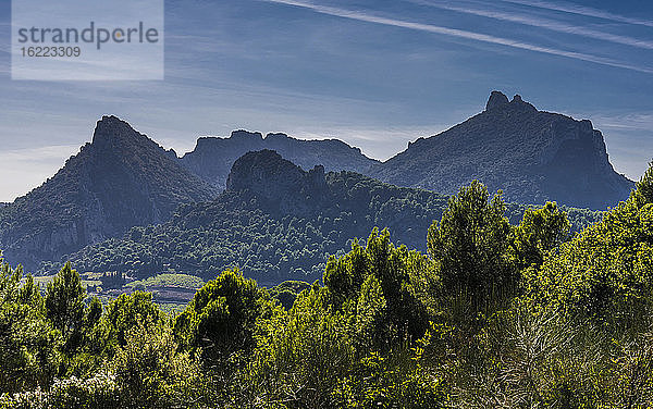 Frankreich  Provence  Vaucluse  Dentelles de Montmirail