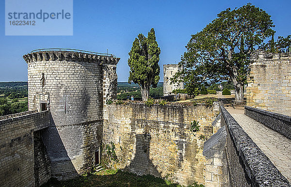 Frankreich  Zentral-Val de Loire  Indre-et-Loire  Königliche Festung von Chinon  Brücke und Turm von Boissy