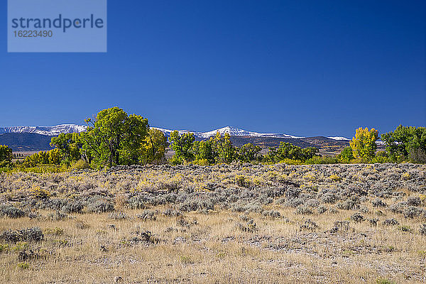 USA  Wyoming  Herbstlandschaft