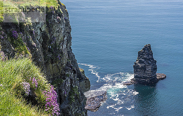 Europa  Republik Irland  Grafschaft Clare  Geopark Burren und Cliffs of Moher (UNESCO-Welterbe)  Nördliche Klippen und Felsvorsprünge durch Meereserosion entstanden