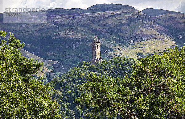 Europa  Großbritannien  Schottland  Region Edinburgh  Denkmal für William Wallace bei Stirling