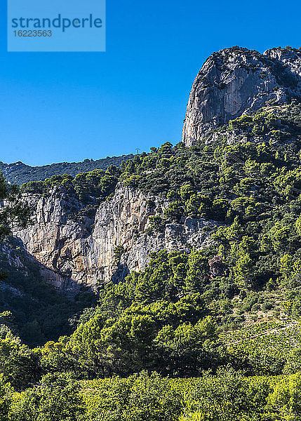 Frankreich  Provence  Vaucluse  Dentelles de Montmirail
