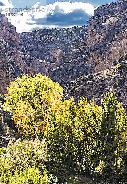 Spanien  Autonome Gemeinschaft Aragonien  Provinz Teruel  Sierra de Albarracin Comarca  Landschaft Sierra de Albarracin