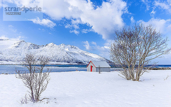 Norwegen  Bezirk Tromso  Insel Senja  Ballesvika Fjord mit Schnee