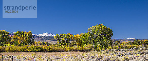 USA  Wyoming  Herbstlandschaft