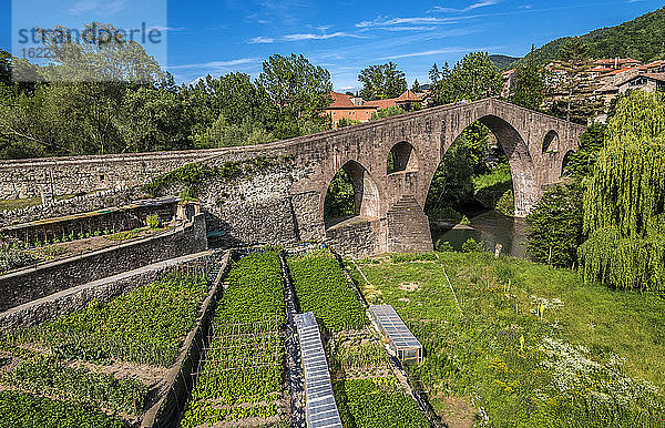Spanien  Katalonien  Comarque de Ripolles  Sant Joan de les Abadesses  alte Brücke im gotischen Stil über den Fluss Ter