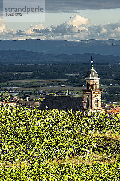 Frankreich  Elsass  Weinstraße  Weinberg und Dorf Saint Hippolyte