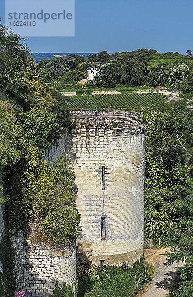 Frankreich  Zentral-Val de Loire  Indre-et-Loire  Chinon  Turm der königlichen Festung und Weinbergslandschaft
